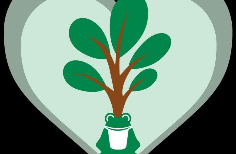 Zasaďte strom se žabkou Frosch nebo navštivte adoptovanou žabku v pražské ZOO