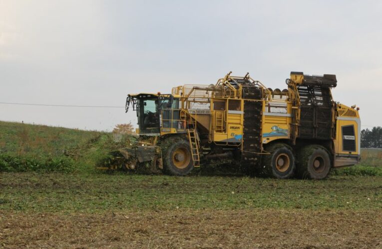 Trendem výzkumu je efektivní využití zemědělských vstupů a zmírňování změny klimatu. Ministerstvo vybralo výzkumné projekty na příští tři roky