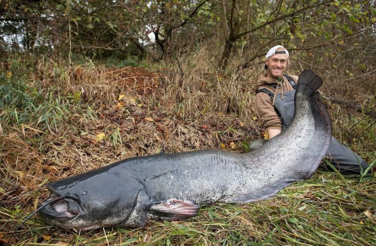 Rybářský veletrh FOR FISHING se vrací do své původní kondice.