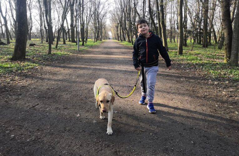 Asistenční psi pomáhají mladým lidem na cestě ke kariéře