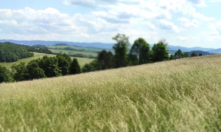 NOVINKY MEZI TURISTICKÝMI CÍLI VÝCHODNÍ MORAVY MAJÍ ZNAČNÝ POTENCIÁL