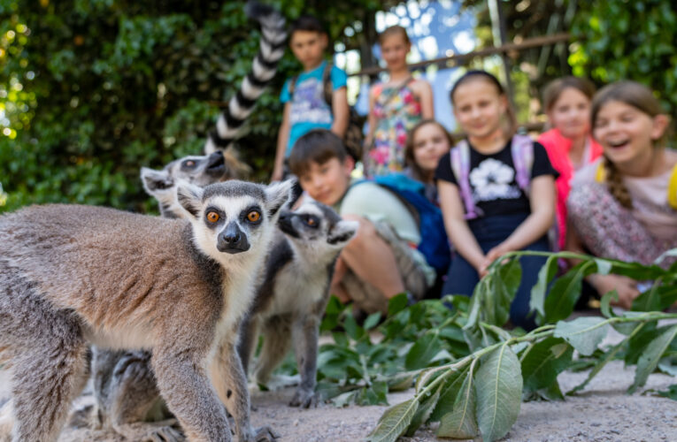 Nemusíte do školy, přijďte do Zoo Praha!