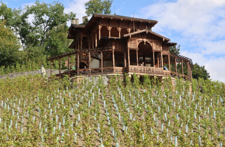 Šestnáctý ročník Vinobraní na Grébovce bude ve znamení filmu