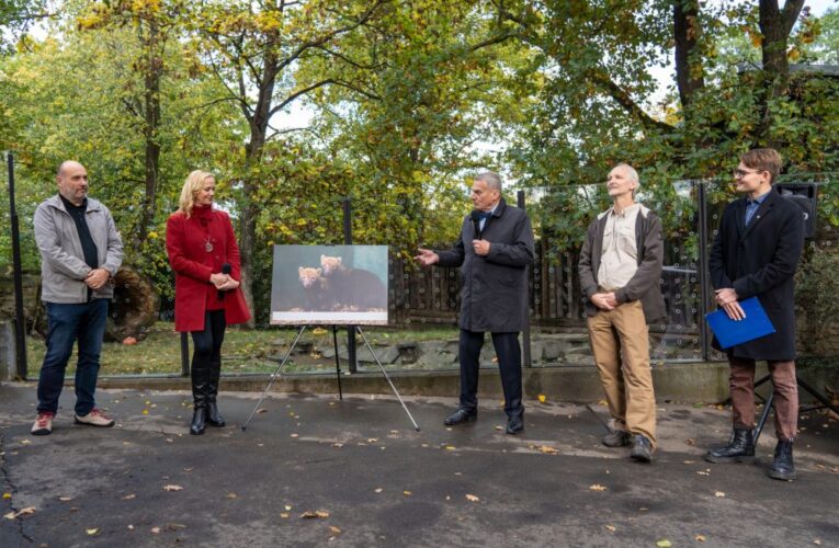 Oslavy 28. října v Zoo Praha: Křest psů pralesních a sváteční krmení lvů