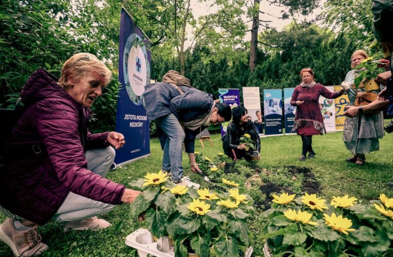 Pacienti s roztroušenou sklerózou zasadili slunečnice