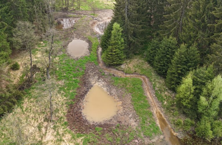 Pět nových tůní vzniklo v zaniklé nádrži v přírodním parku na Jihlavsku