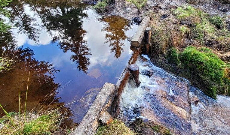 V odvodňovacích kanálech a korytech jizerskohorských potoků zadržují vodu stovky klád a fošen