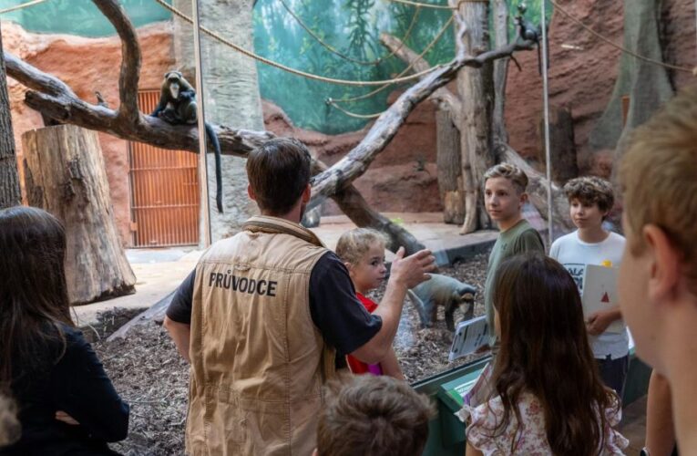 Výhodná nabídka pro školy od Zoo Praha je opět v platnosti